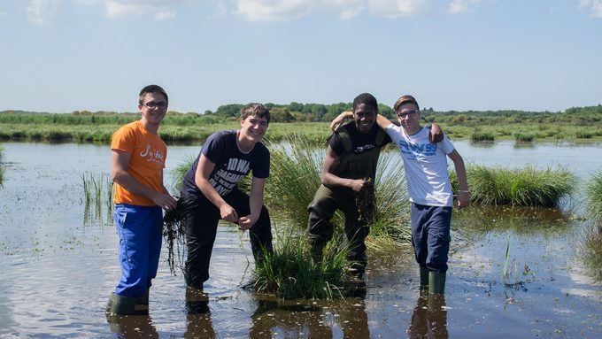 Collecte de jussie et découverte des marais salants avec le Eco-rérerents