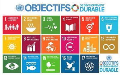 Développement durable – E3D – 2019 – 2020